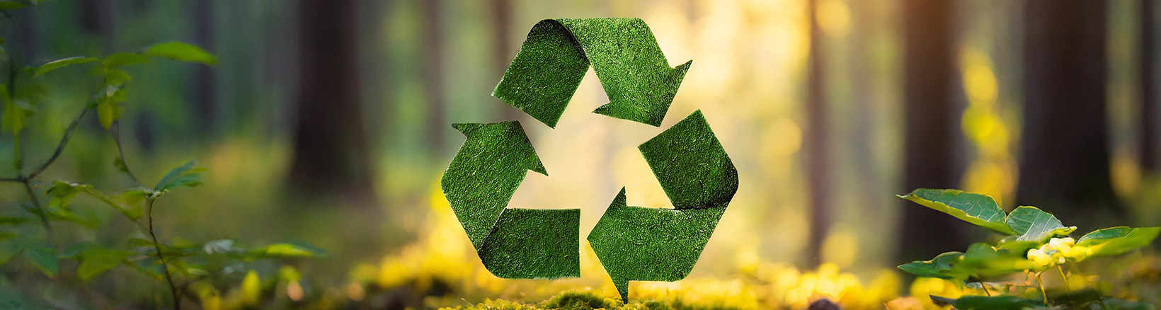 Eco-Friendly & Sustainable